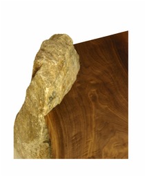 Detail Walnut Coffee table